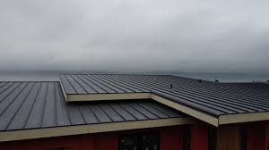 Best Sheet Metal Roofing  in Watertown, MN